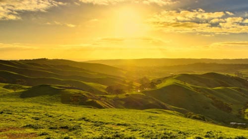 Early Bird or Late Owl