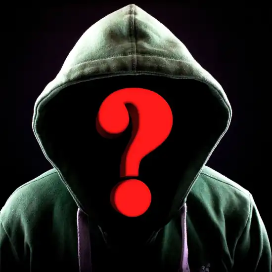 Neil Patel - sucessful blogs